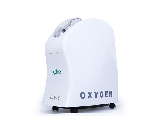 کنسانتره هوا قابل حمل با کمبود اکسیژن، کنسانتره های اکسیژن قابل حمل کوچک